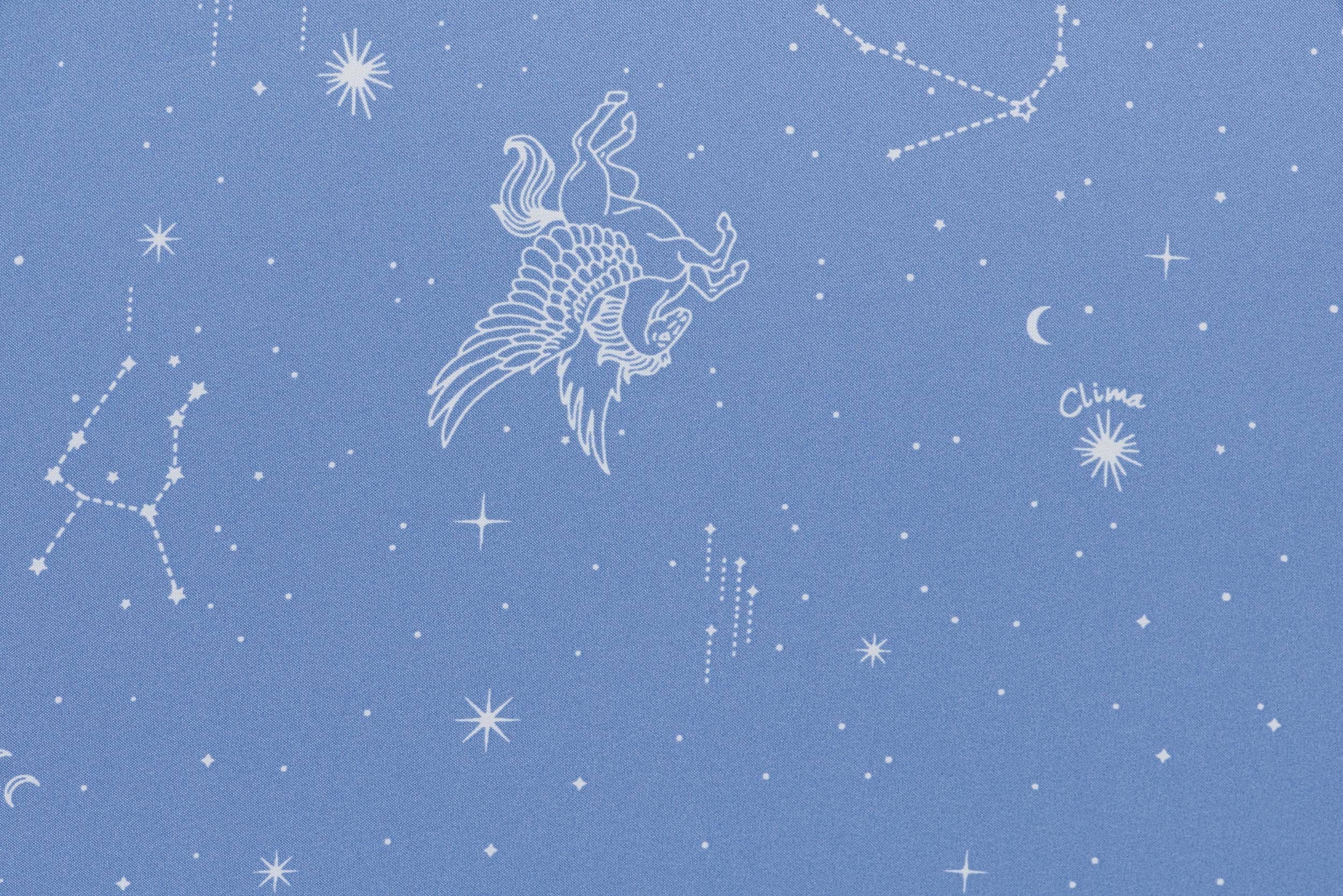 Mkr International - Wholesale Umbrella - Unisex - “Astrology” Long Auto Umbrella | Windproof | Recycled11