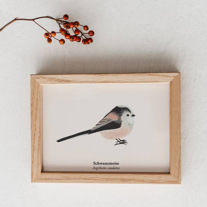 Terillu - Wholesale Postcard - Art postcard with long-tailed tit drawing1