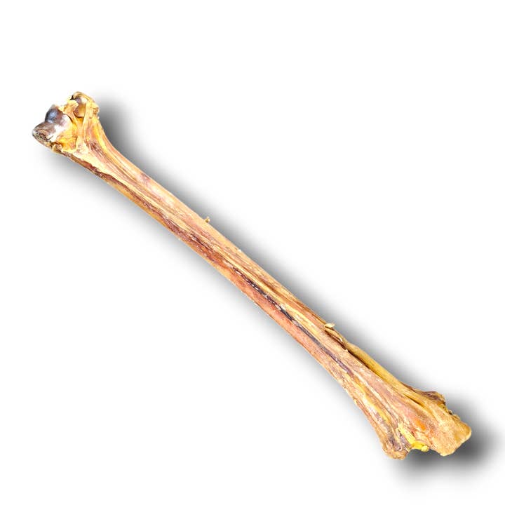 Savannah Pet Food - Wholesale Pet Treats - Dog - Ostrich Long Bone Single Ingredient Novel Protein Dog Treat