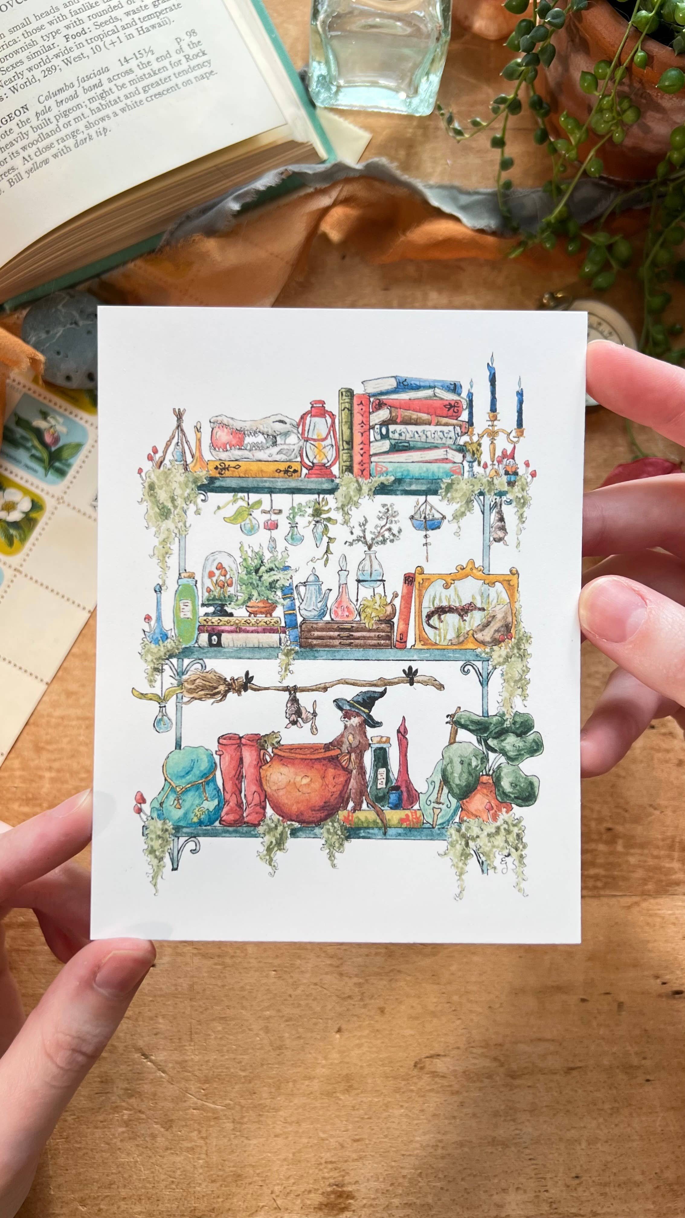 Lizzy Gass - Wholesale Postcard - The Swamp Witch's Shelves Postcard1