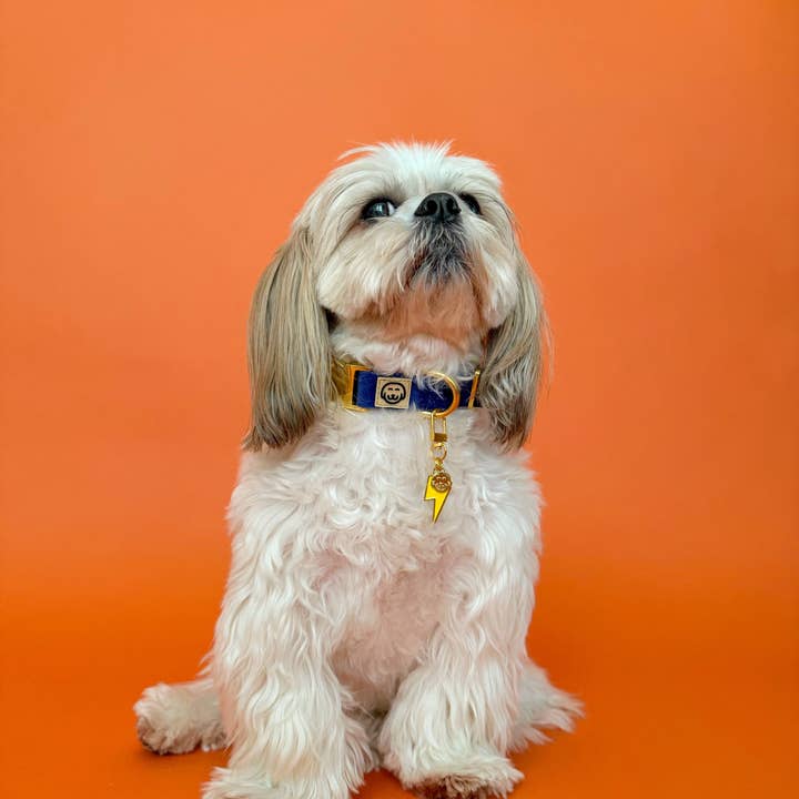 Molly & Co. - Wholesale Pet collar charm – Cat/dog - Lightning Bolt - Collar Charm1