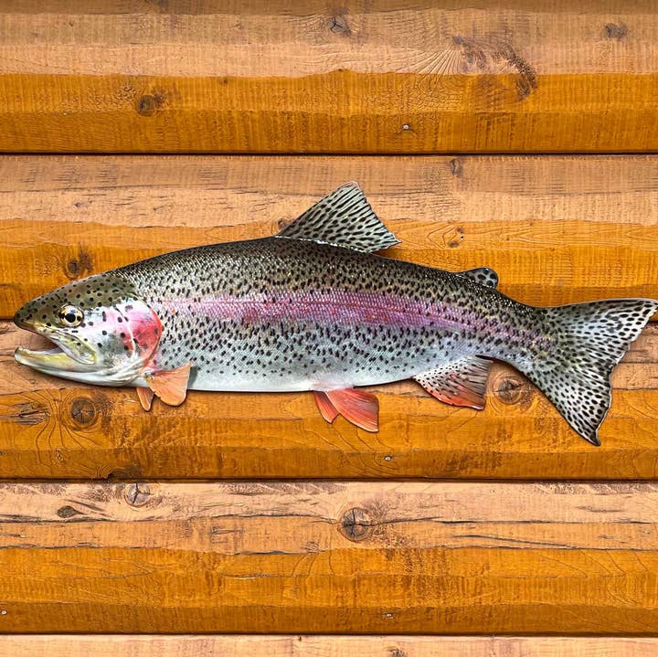 26-Inch Realistic Rainbow Trout Wall Accent Art for wholesale by Reelistic Replicas