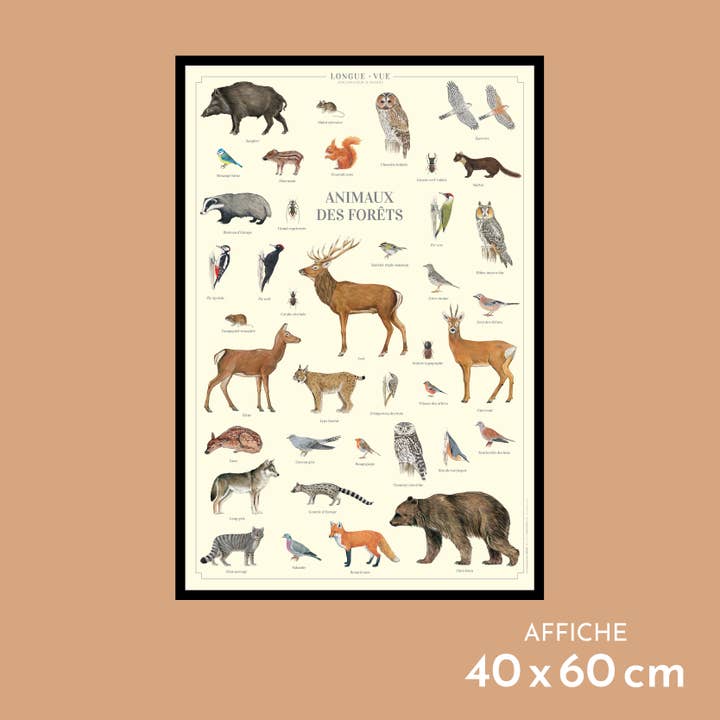 Bosdieren - Poster voor wholesale door Longue-vue
