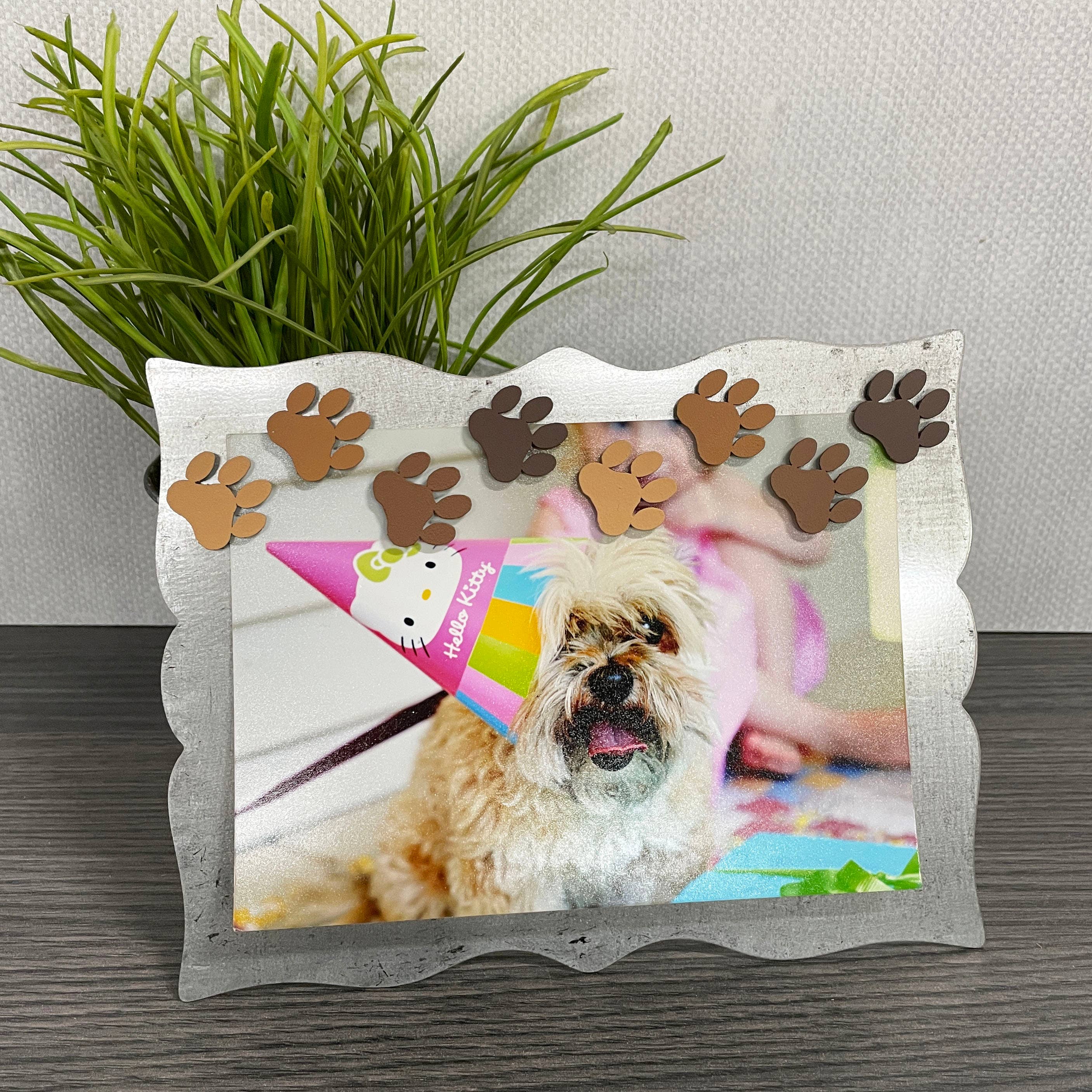 Roeda Studio - Wholesale Magnet - Paw Print Magnets S/8, Pet Lover Gift3