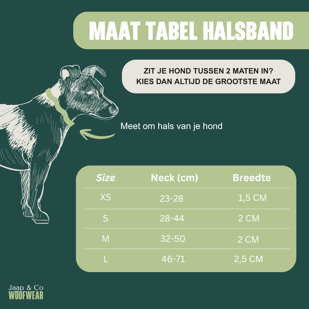 Jaap & Co - Woof Wear - Vente Collier – chien - Rosé Dusk - Collier pour chien4