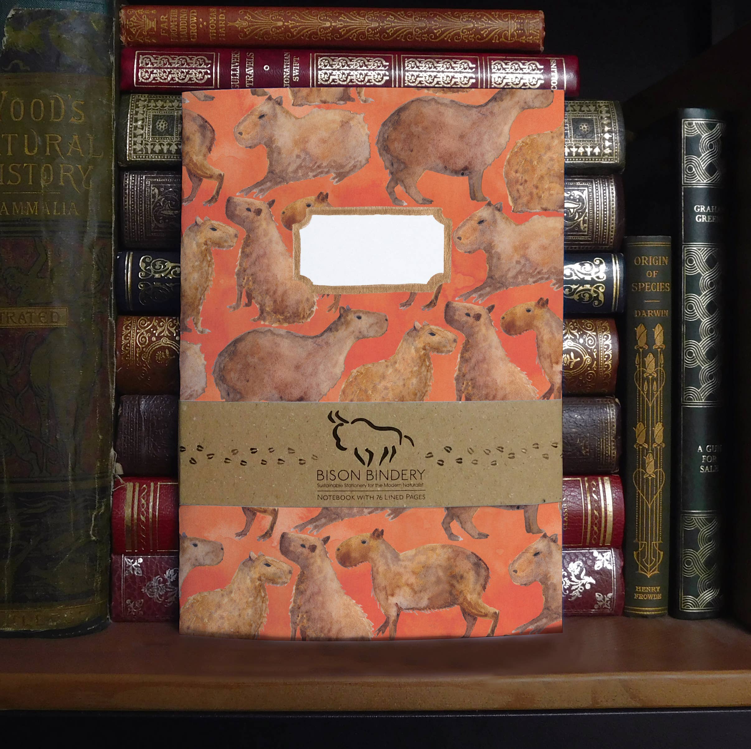 Bison Bindery – wholesale Journal/diary – Chill of Capybaras A5 Recycled Notebook - 76 Lined Pages0