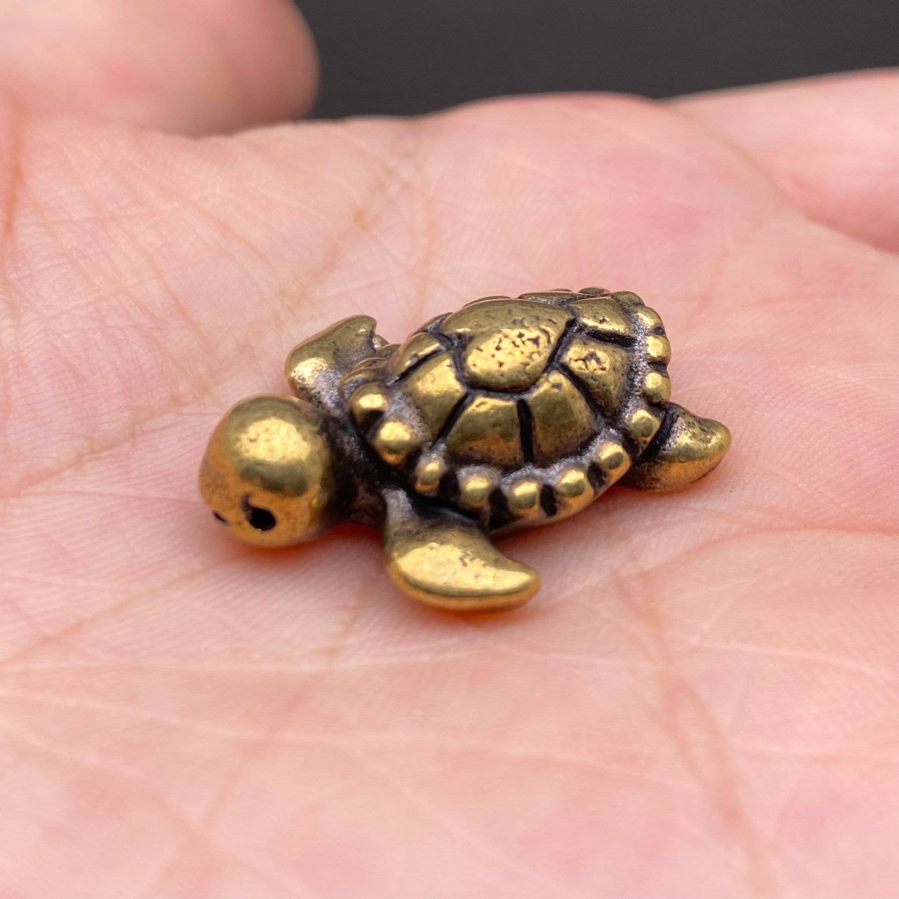 Mio Queena - Wholesale Decoratief beeldje - Messing Mini Schildpad Ambachten Bureau Ornamenten Decoratie1
