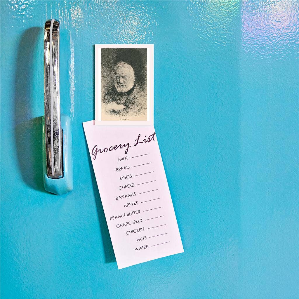 Found Image Press - Wholesale Magnet - Magnet LT-219 Victor Hugo1