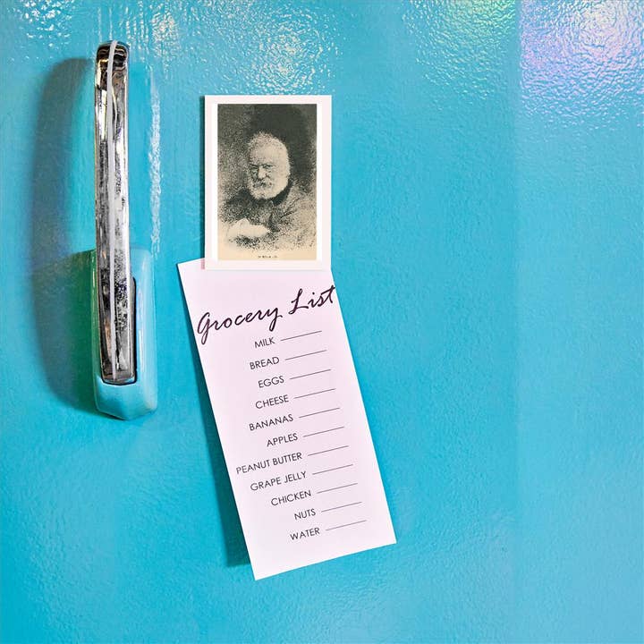 Found Image Press - Wholesale Magnet - Magnet LT-219 Victor Hugo1