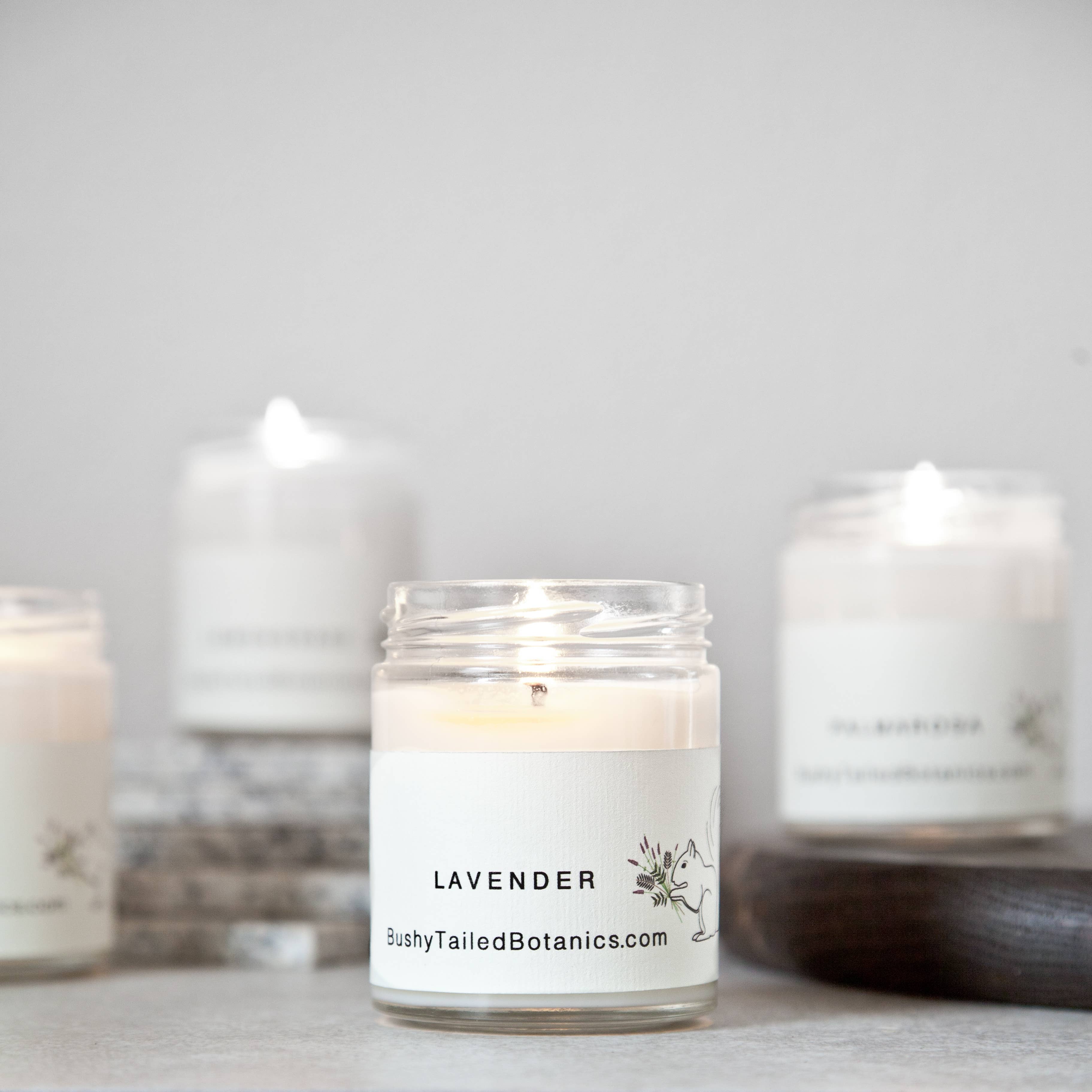 Bushy-Tailed Botanics - Wholesale Jar/Filled Candle - Lavender Soy Wax Candle1