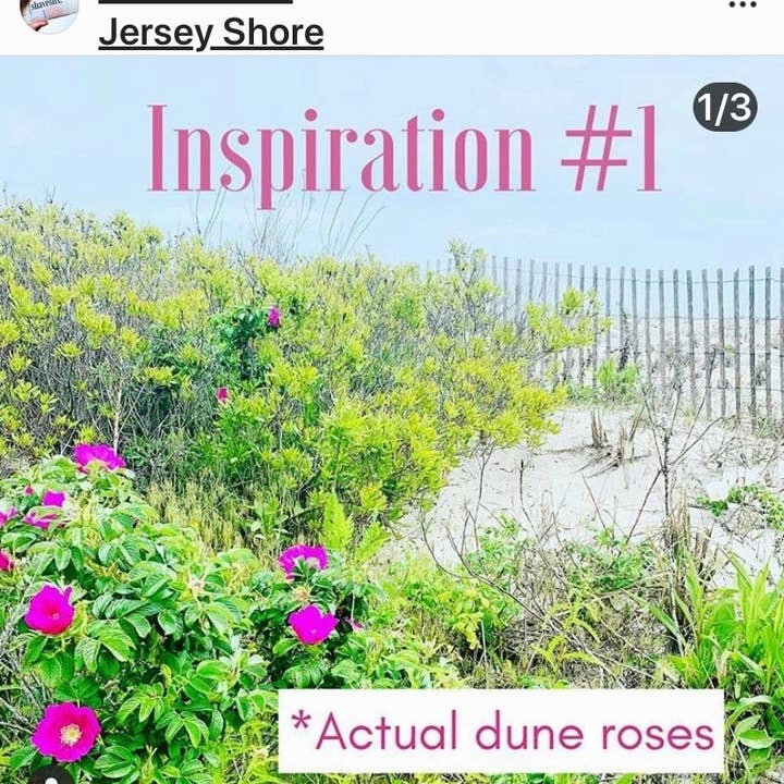 Shavestix. – wholesale Rakkräm/Serum/Gel – Shavestix. Lyxig rakbalsam: Dune Roses2