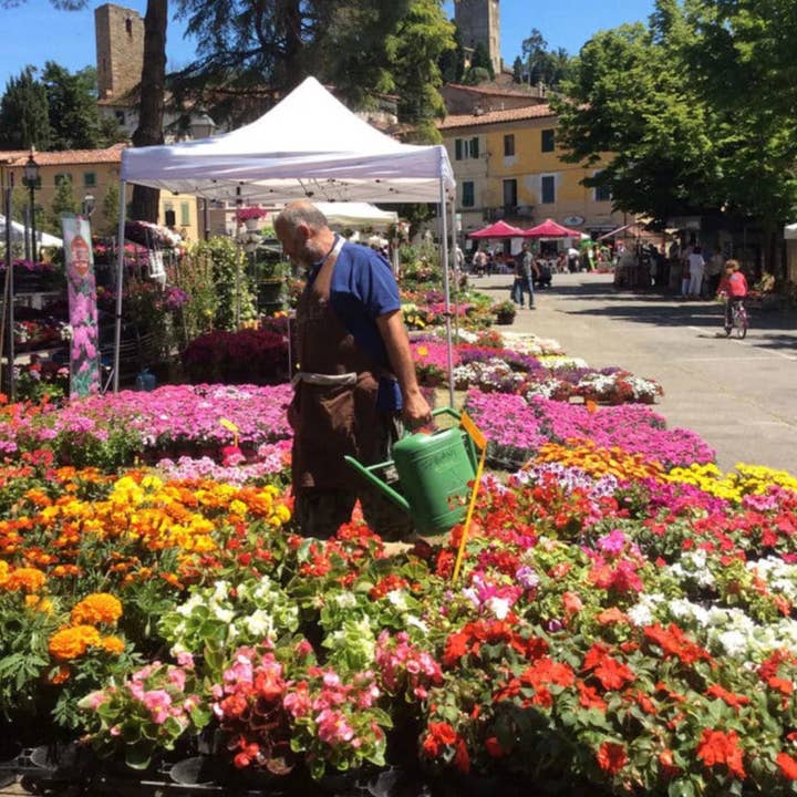 SALA CAFFE CO - Wholesale Jar/filled candle - GRAZIE2