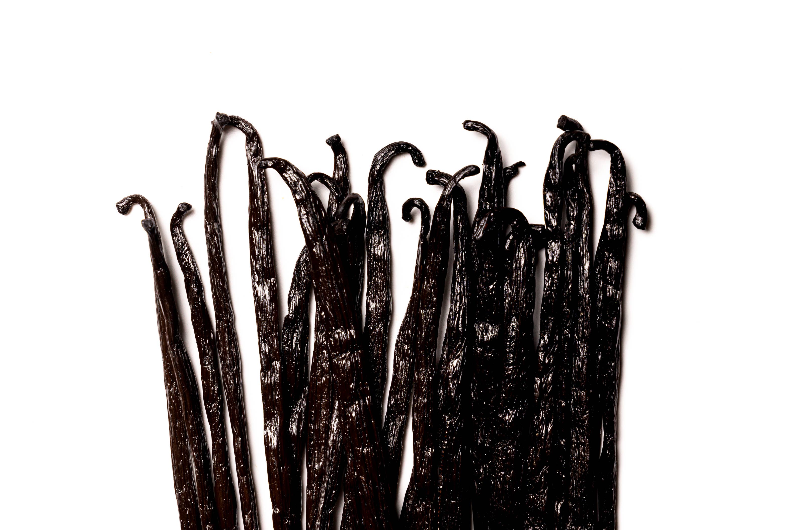 LABORATOIRE VEGETAL - Vendita all'ingrosso Estratti di frutta/alla vaniglia - Estratto di vaniglia del Madagascar professionale 30%3