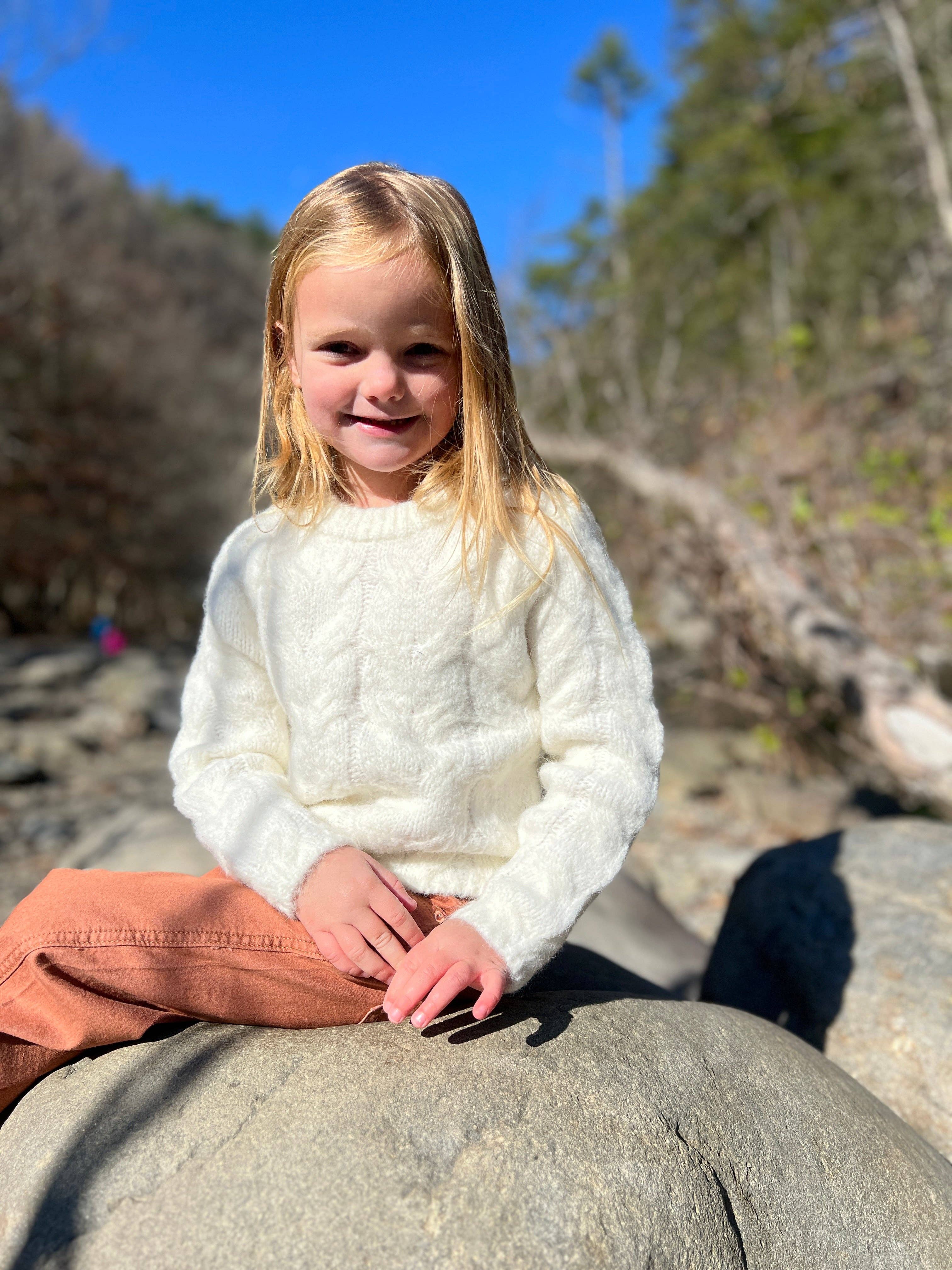 Wholesale hayden wide leg pants in rust for your store Faire