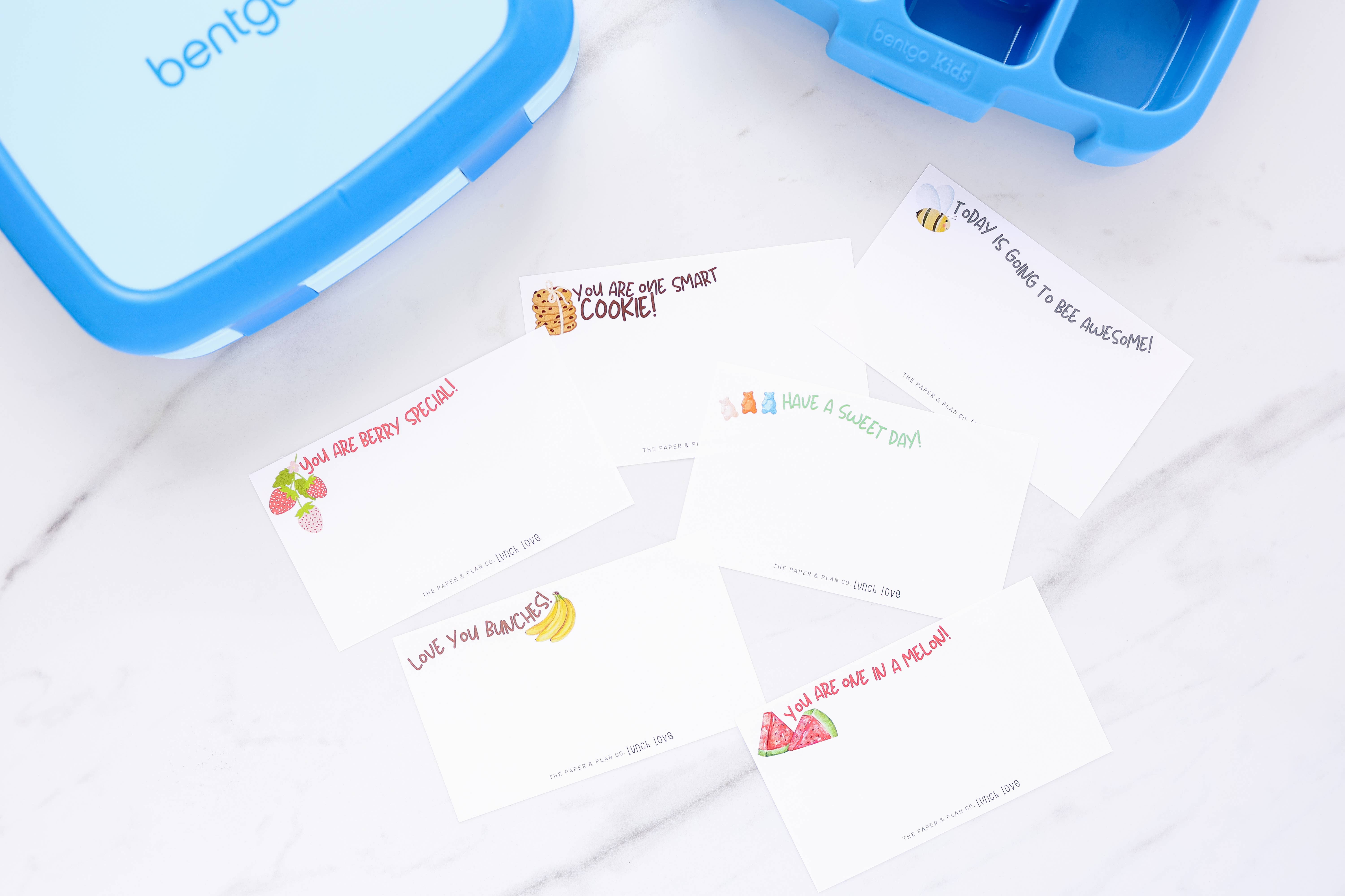 The Paper and Plan Co. - Wholesale Stationery/Notecard Set - Kids Lunch Love Notes1