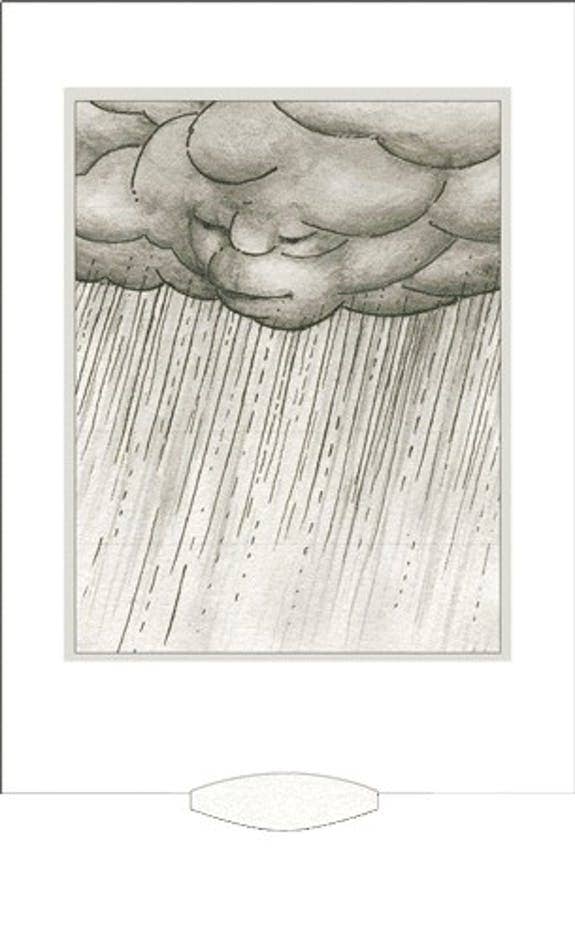 Bärenpresse - Vente Carte de vœux classique - Carte animée « Weather »1