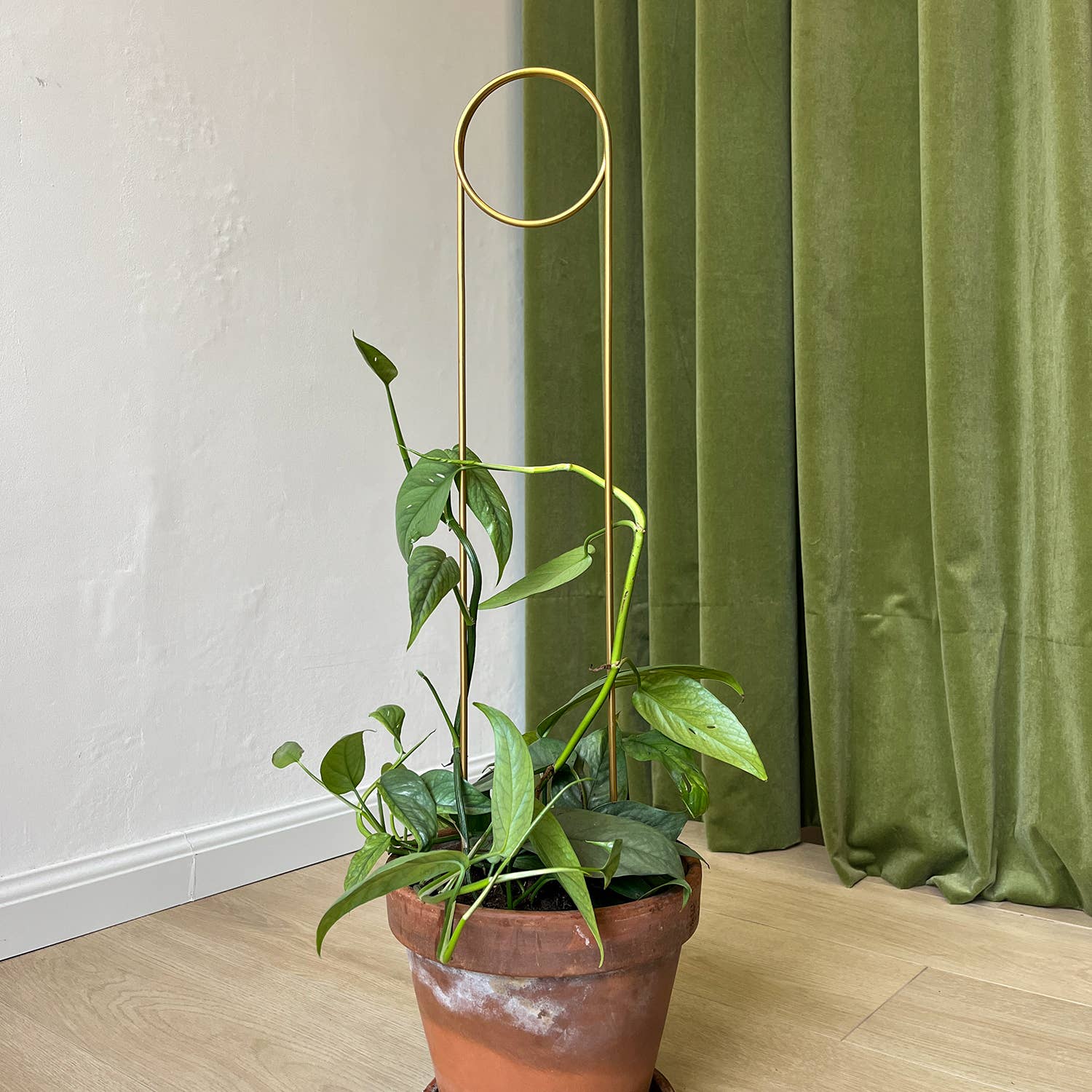 Botanopia - gifts , decor and cards for plant lovers – wholesale Garden/lawn stake – Golden Plant Stake - Pin3