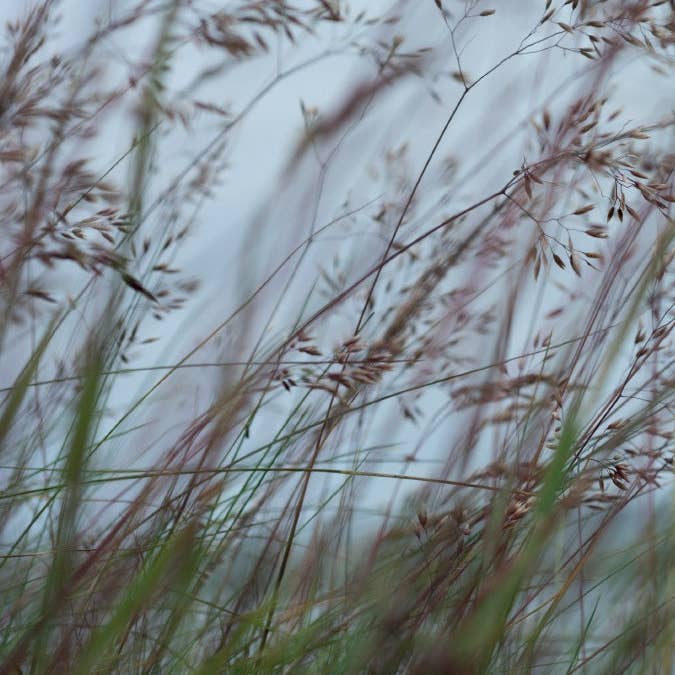 Luath Press Ltd – wholesale Poetry and drama – When the Grass Dances7