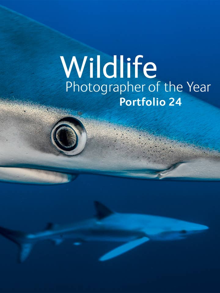 Wildlife Photographer of the Year: Portfolio 24 for wholesale by Independent Publishers Group