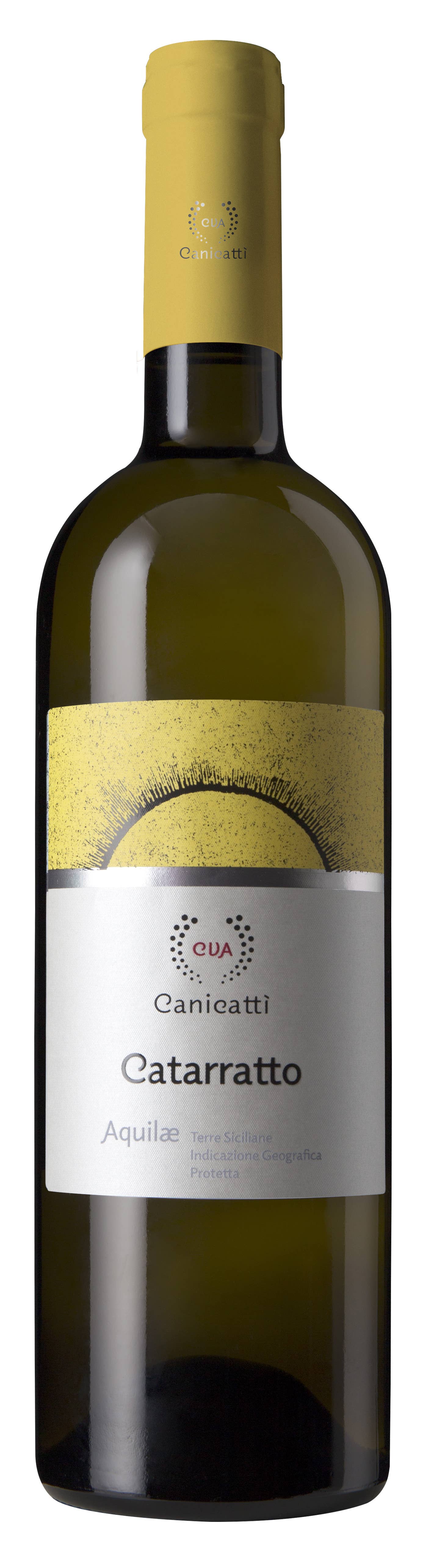 CVA Canicattì – Engroshandel Rødvin – Catarratto Terre Siciliane IGP0