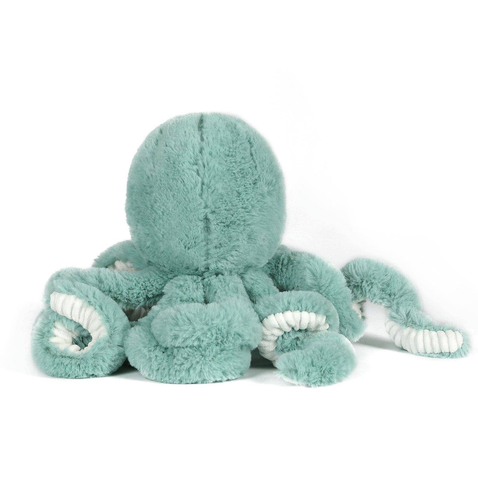 OB Designs Australia - Vente Peluche – enfant et bébé - Petit Poulpe de Récif Bleu – Peluche 22 cm2