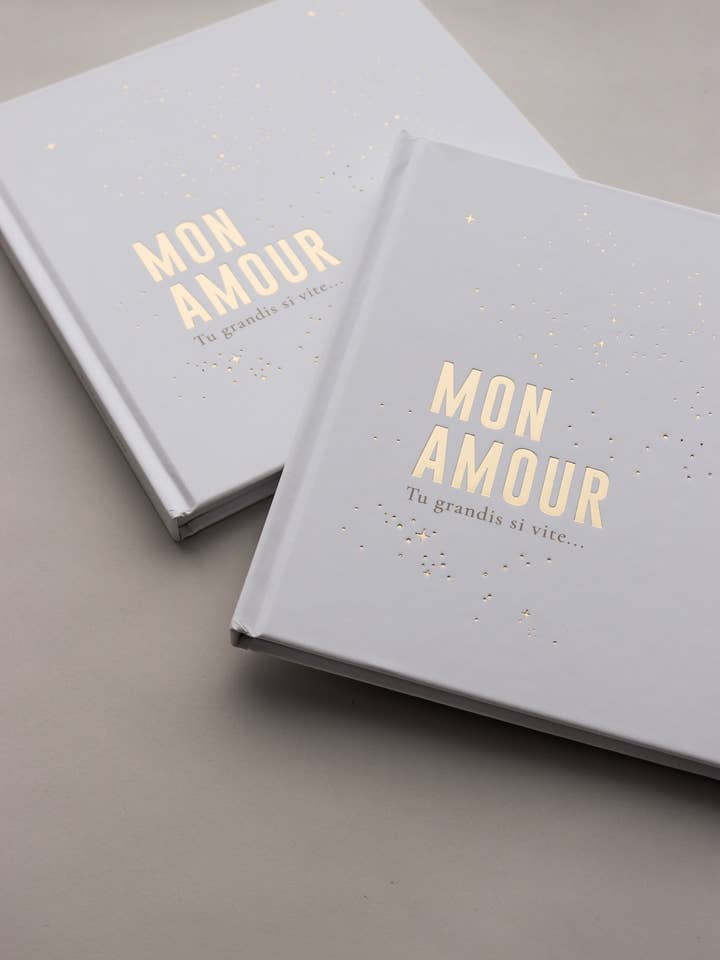 Livre Céleste - Volume 2 for wholesale by Zakuw