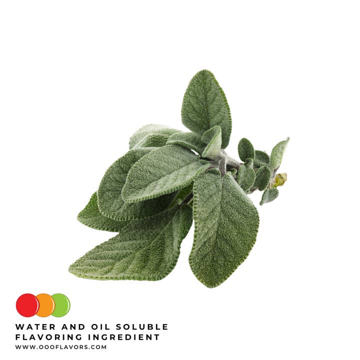 Sage Flavoring - Natural for wholesale by OOOFlavors.com