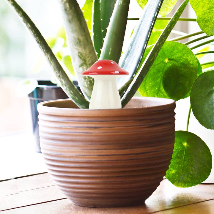 Gift Republic - Wholesale Watering Can - Mushroom Self Watering Plant Dispenser2