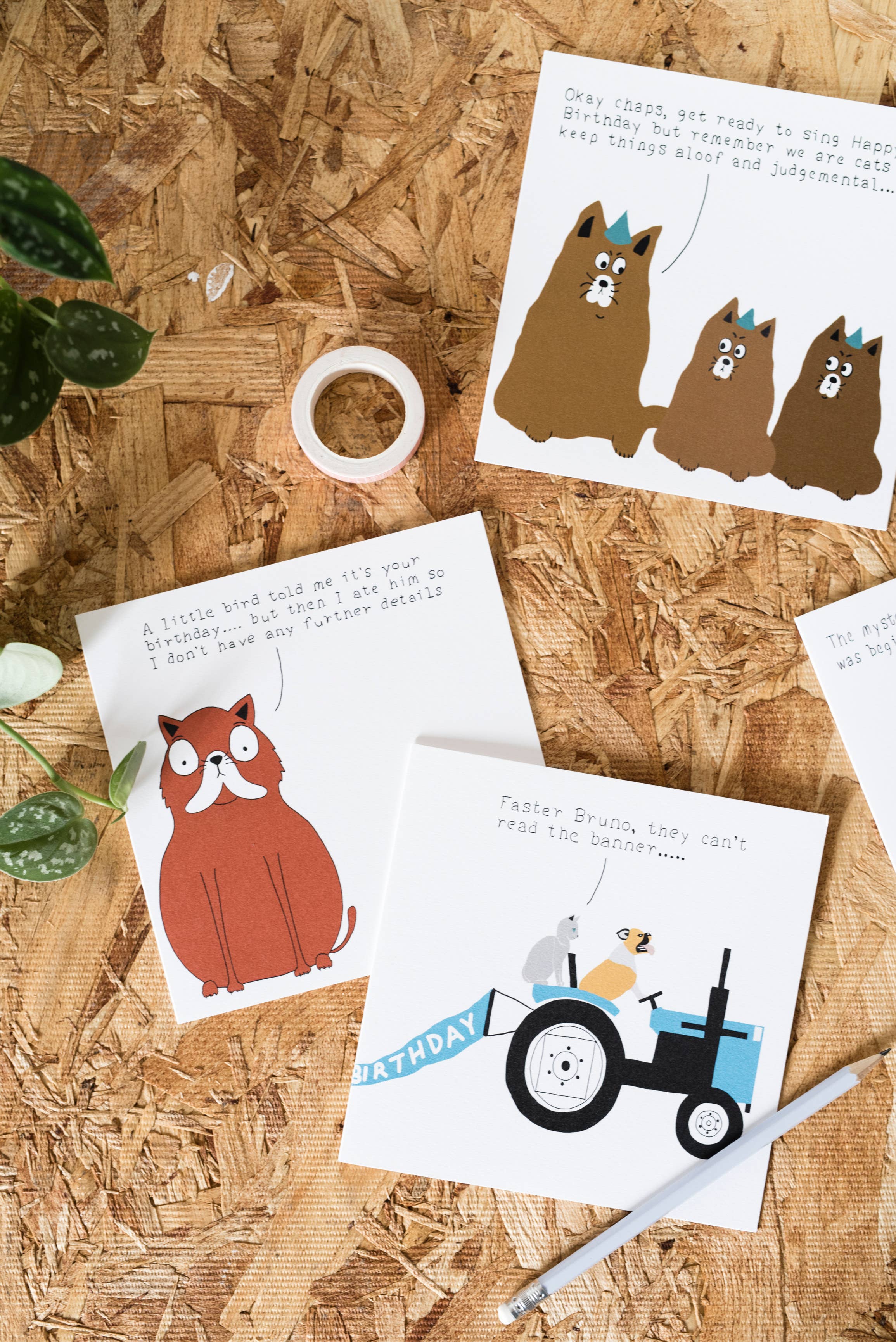 Not at all Jack – wholesale Birthday card – Little Bird Birthday card1