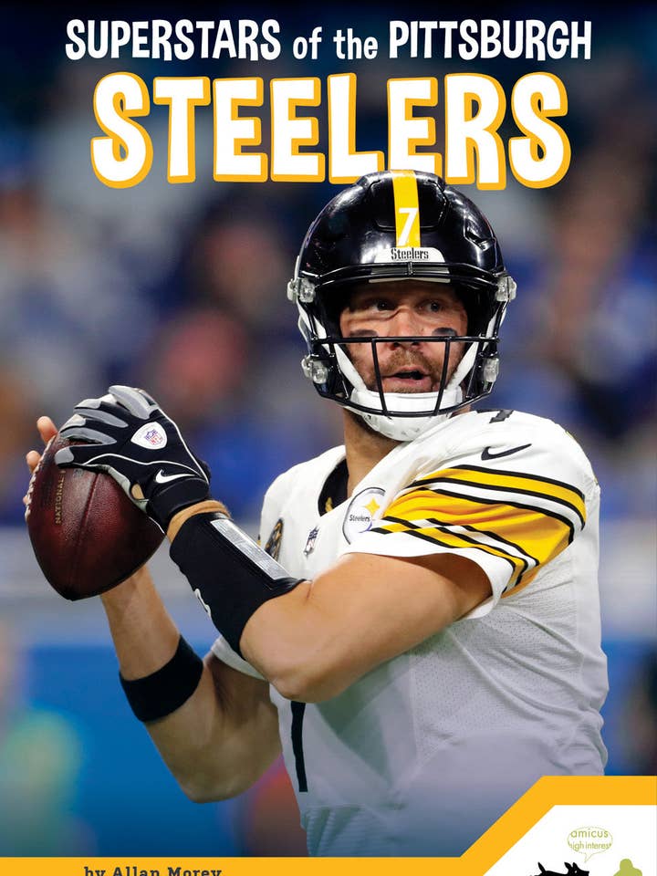 Superstars of the Pittsburgh Steelers for wholesale by Amicus Publishing