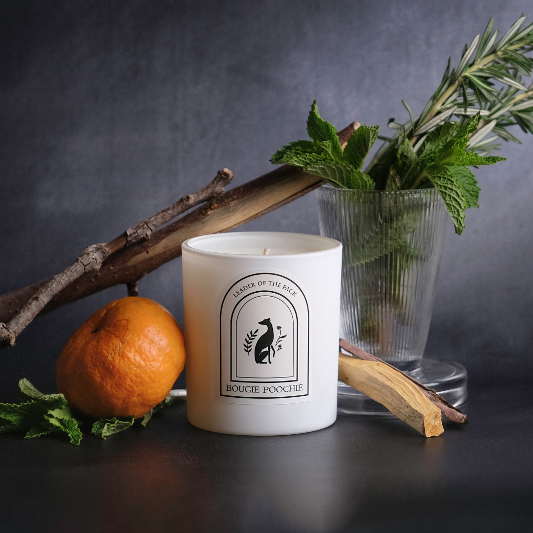 Bougie Poochie LLC - Wholesale Jar/Filled Candle - Leader of the Pack Candle - Non-Toxic Pet Home Candles2