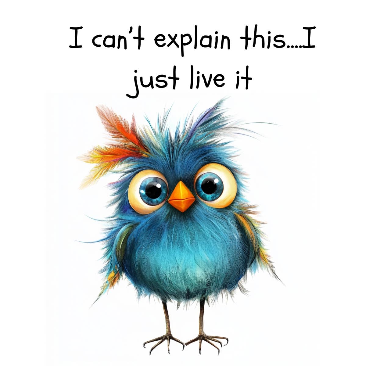 Nimblepic - Wholesale Magnet - Magnets - Sassy Gallery 413