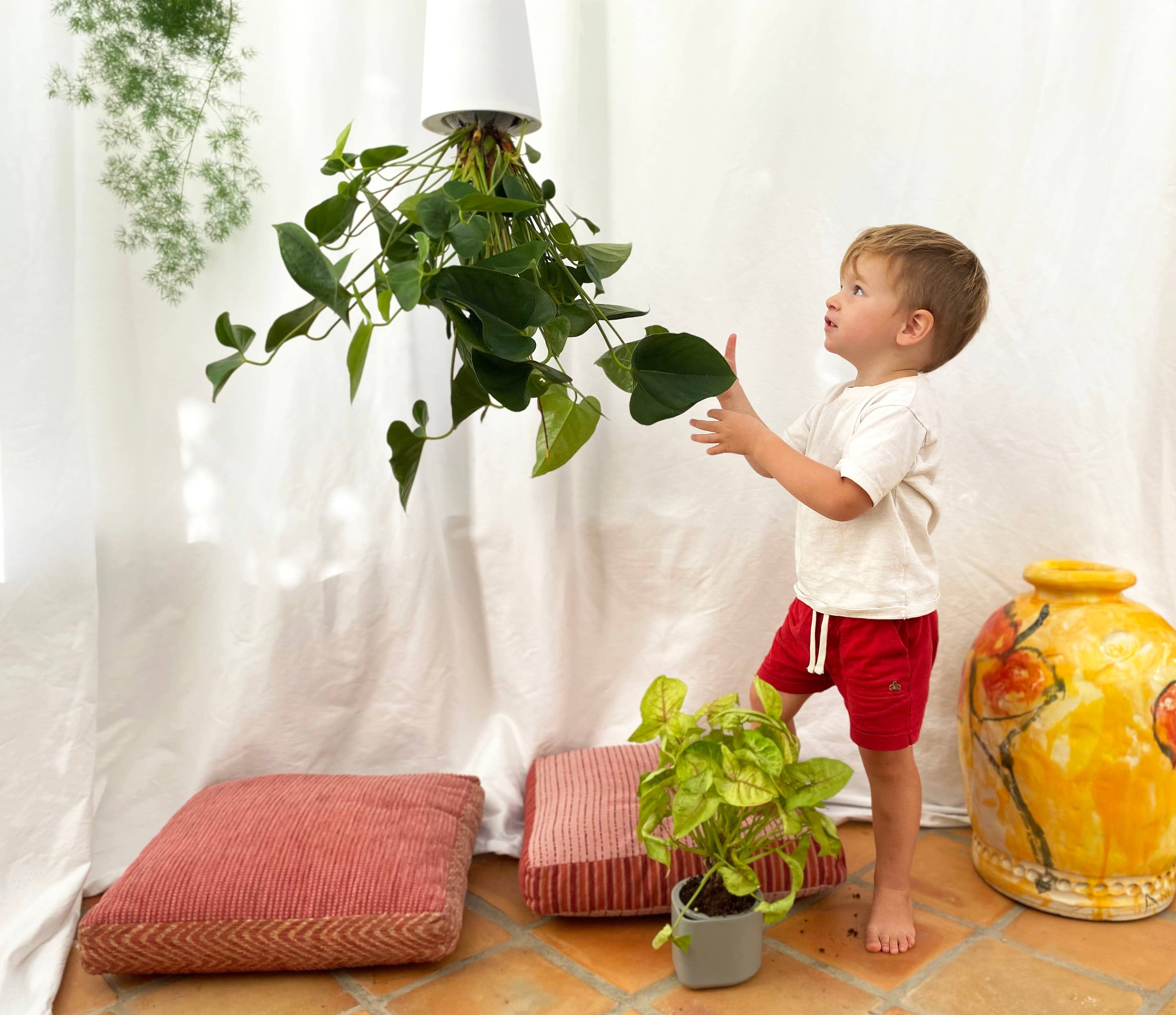 Boskke – Engroshandel Hængende plantekasse – Boskke Sky Planter Recycled - Lille - selvvandende plantepotte8