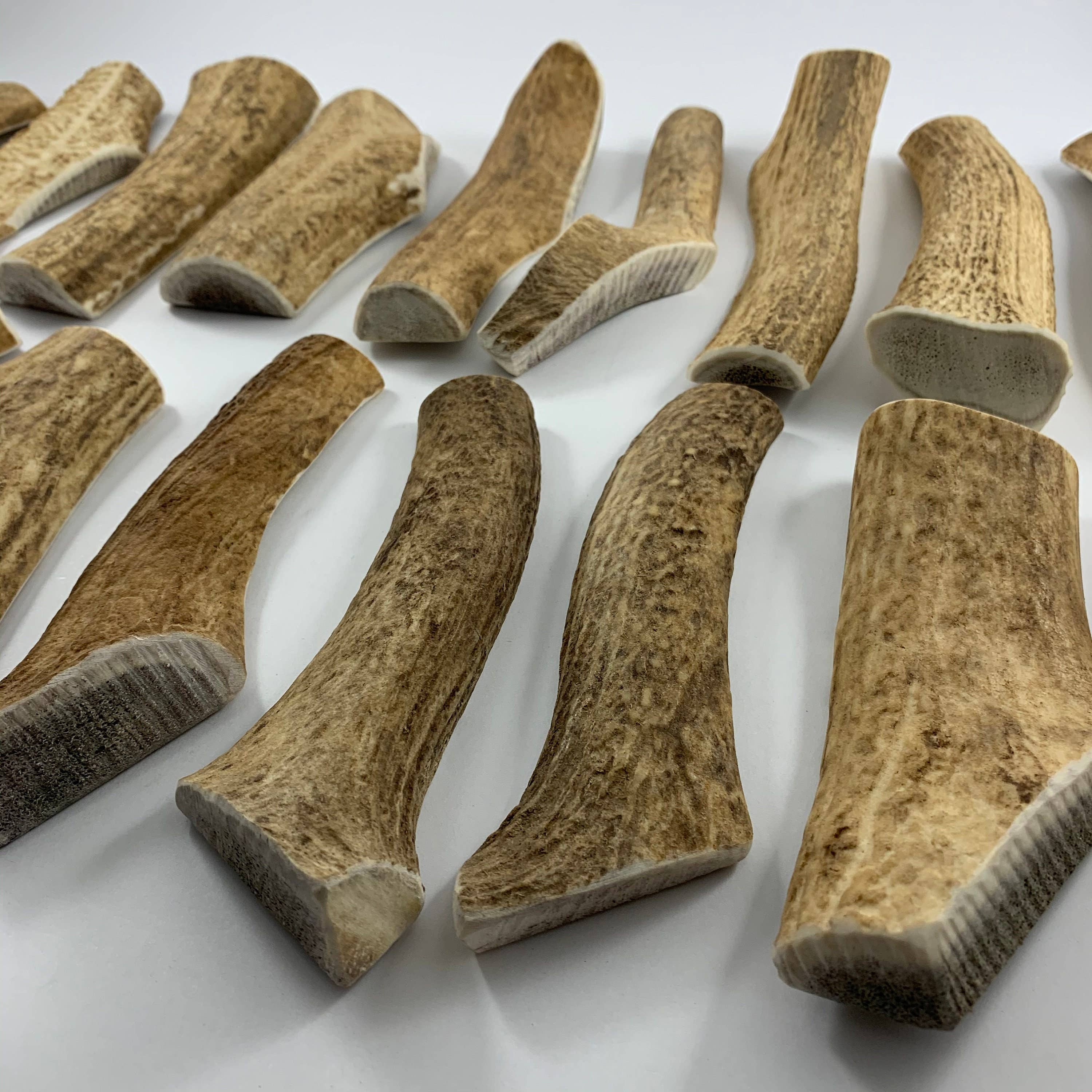 Pawsome Pet Toys - Wholesale Pet Chew Toy - Dog - L size Natural deer antler3