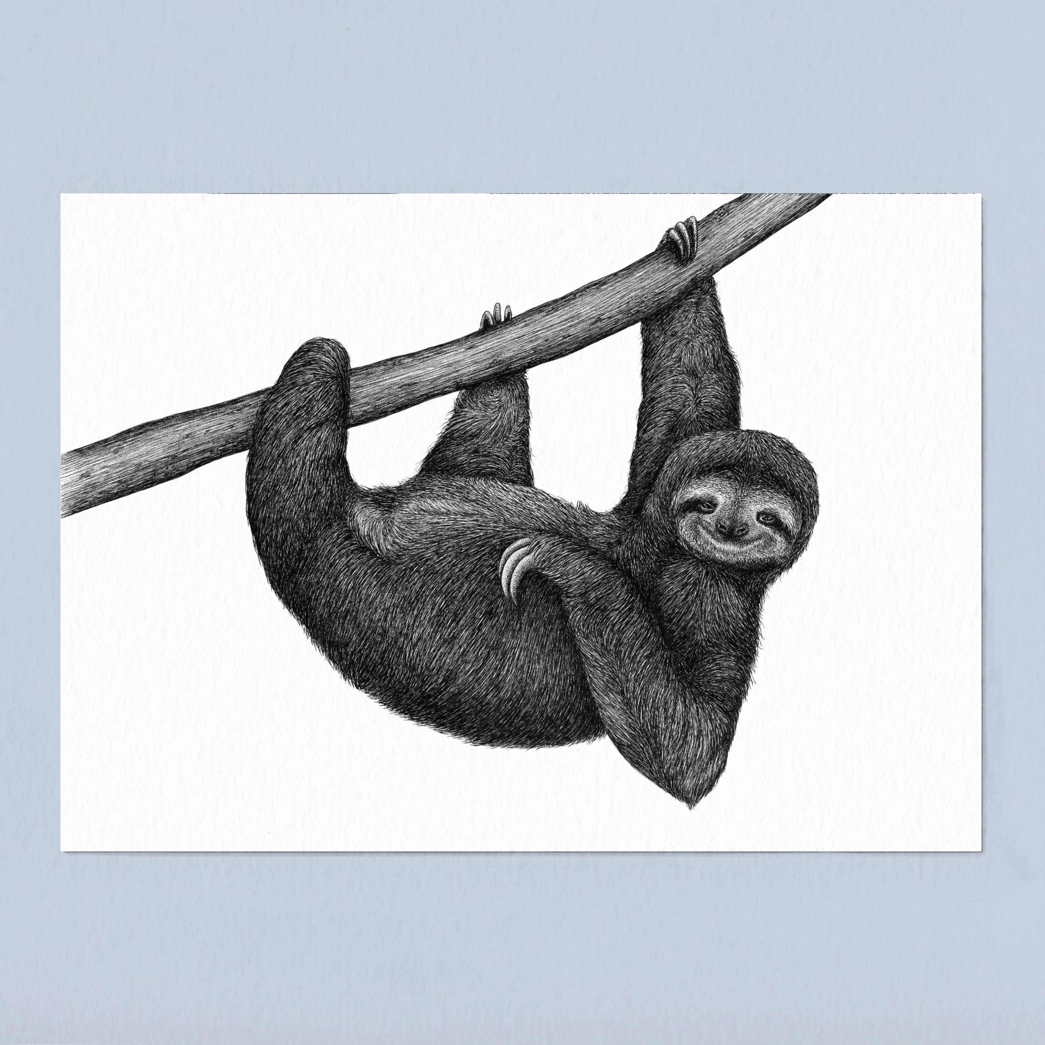 Wild Lines - Wholesale Art Print - Black and White Animal Art Print - Sloth - A4 Pen & Ink Art3