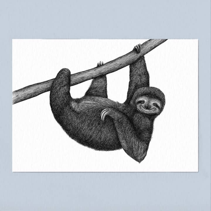 Wild Lines - Wholesale Art Print - Black and White Animal Art Print - Sloth - A4 Pen & Ink Art3