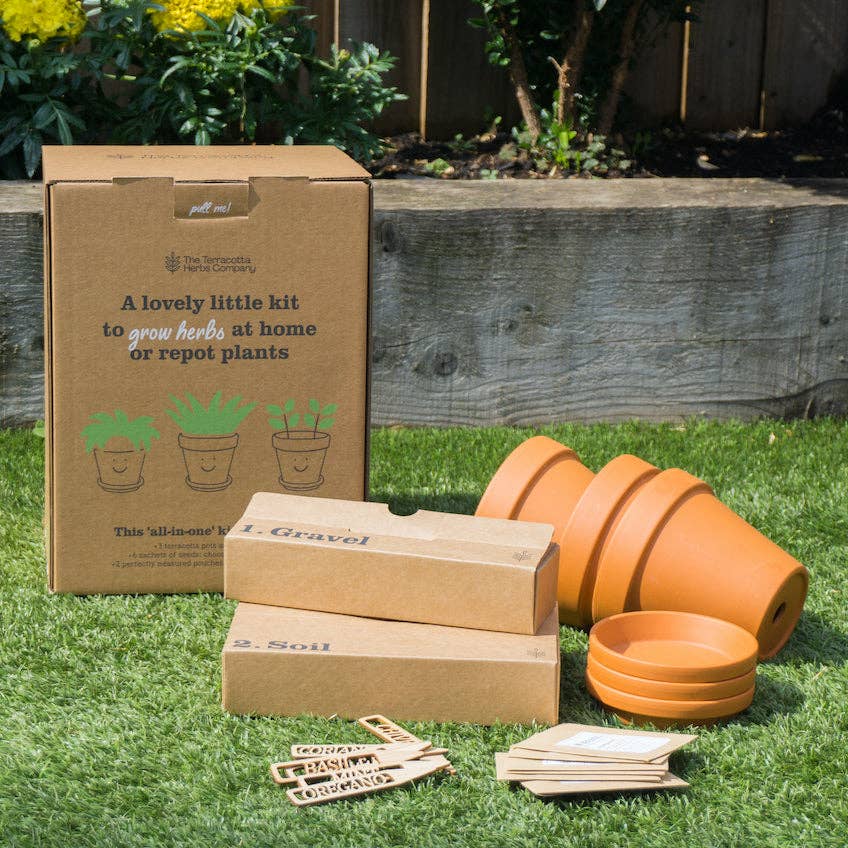 The Terracotta Herbs Company - Vente Graines de plantes - Kit d'herbes en terre cuite2