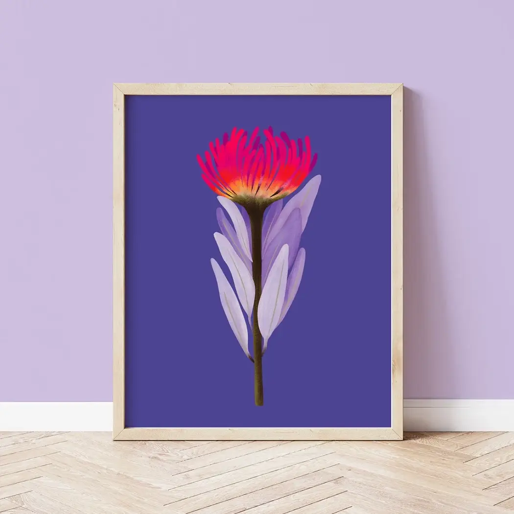 Sarah Whittle Illustration – wholesale Art print – Flame Protea Botanical Wall Art Print2