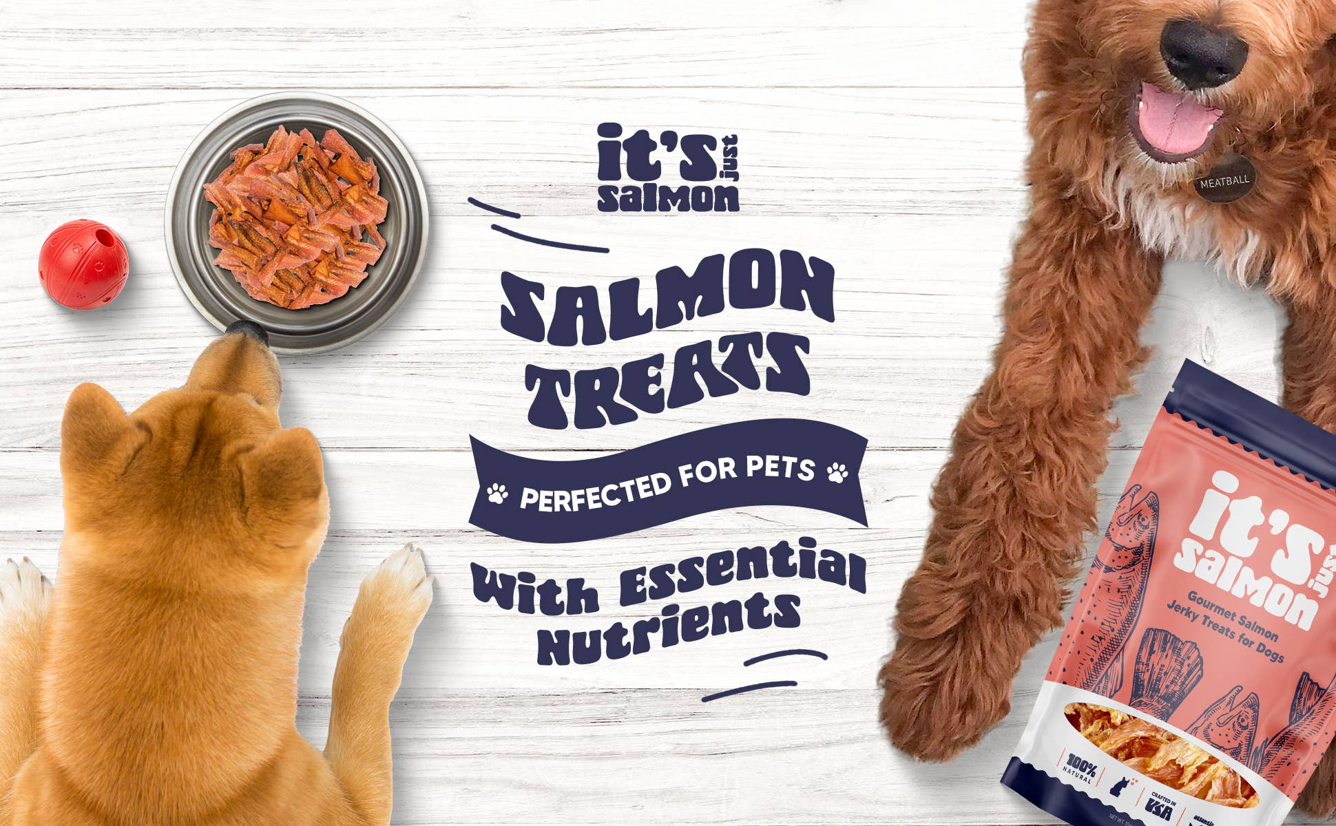 It's Just Salmon - Wholesale Pet Treats - Dog - It's Just Salmon Gourmet Dog Treats, 100% Natural, 10 oz.6