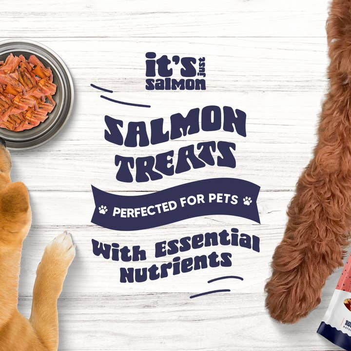 It's Just Salmon - Wholesale Pet Treats - Dog - It's Just Salmon Gourmet Dog Treats, 100% Natural, 10 oz.6