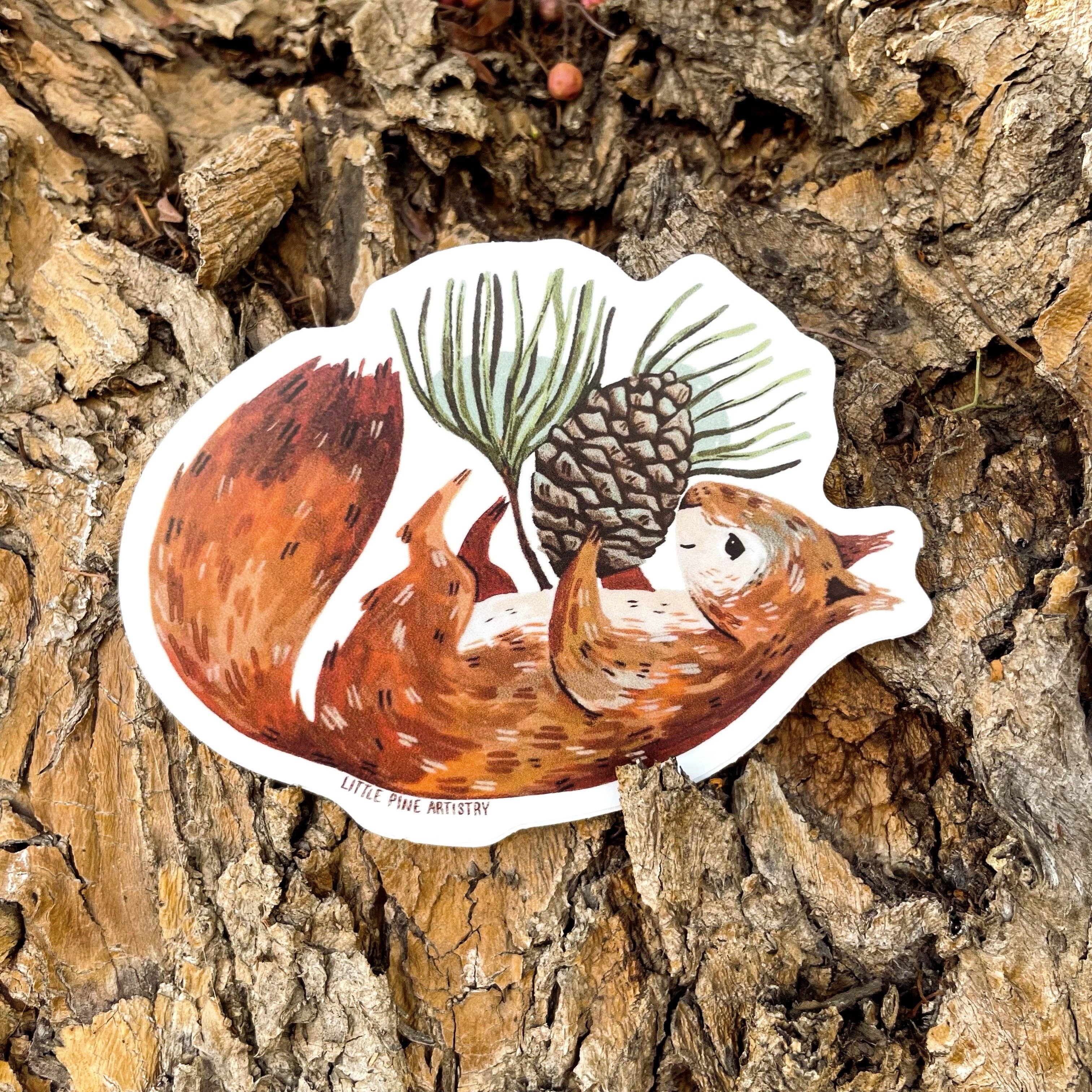 Canyon & Cove Art – wholesale Sticker – Pine Squirrel Sticker1