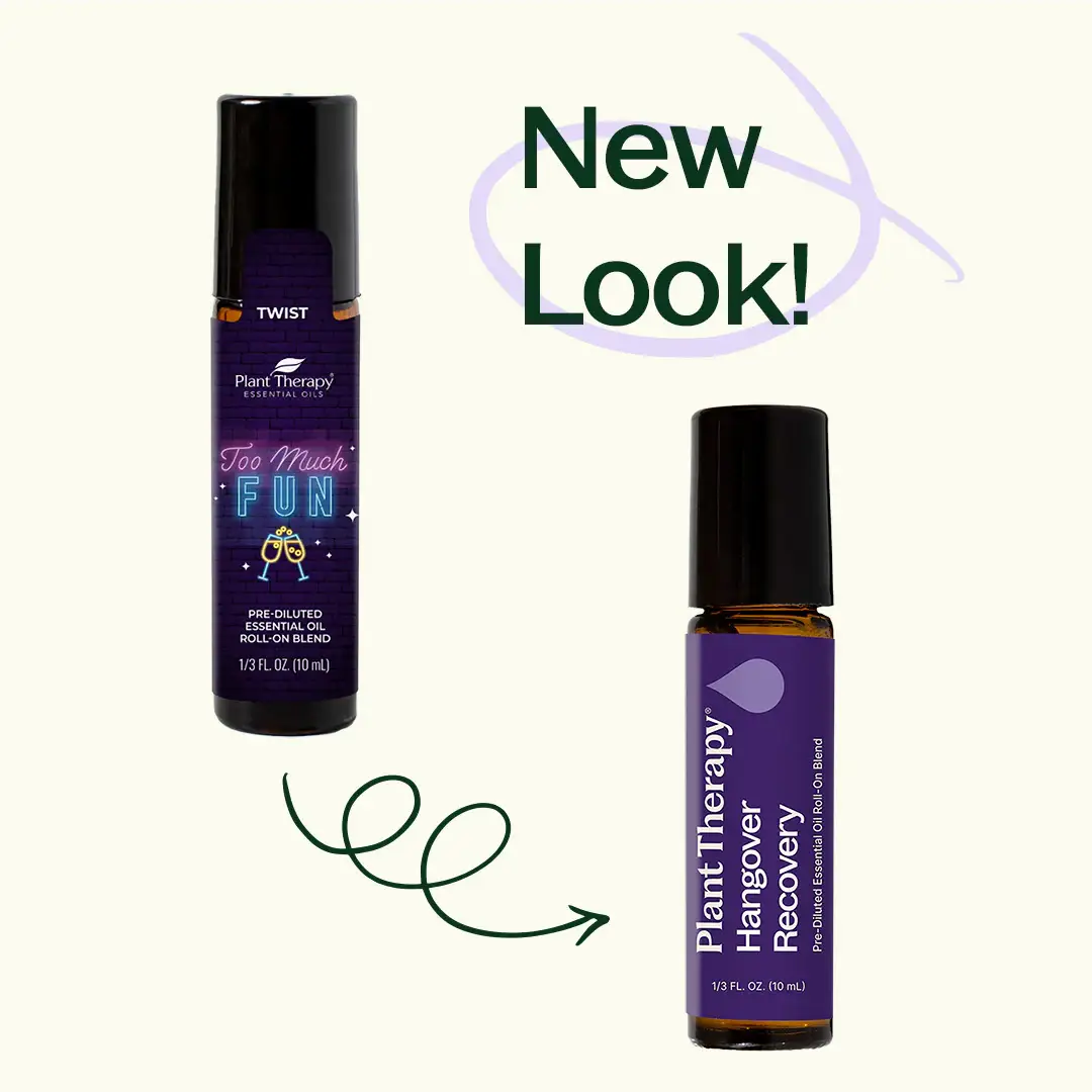 Plant Therapy - Wholesale Essential Oil Roll-On - Hangover Recovery Pre-Diluted Roll-On4