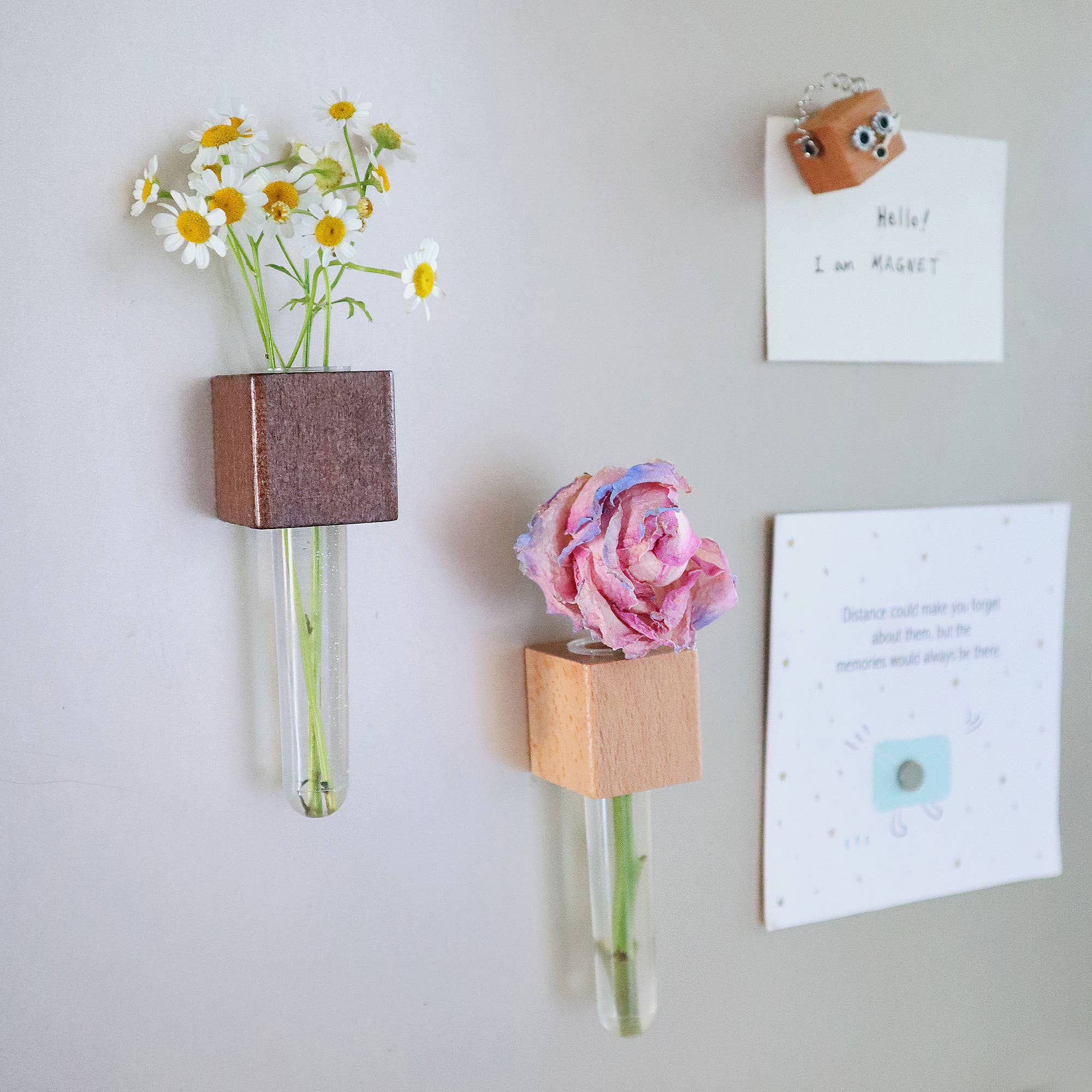 Kitsville - Vendita all'ingrosso Calamite - Mini vasi magnetici – Set di 2 – Magneti decorativi per frigorifero7