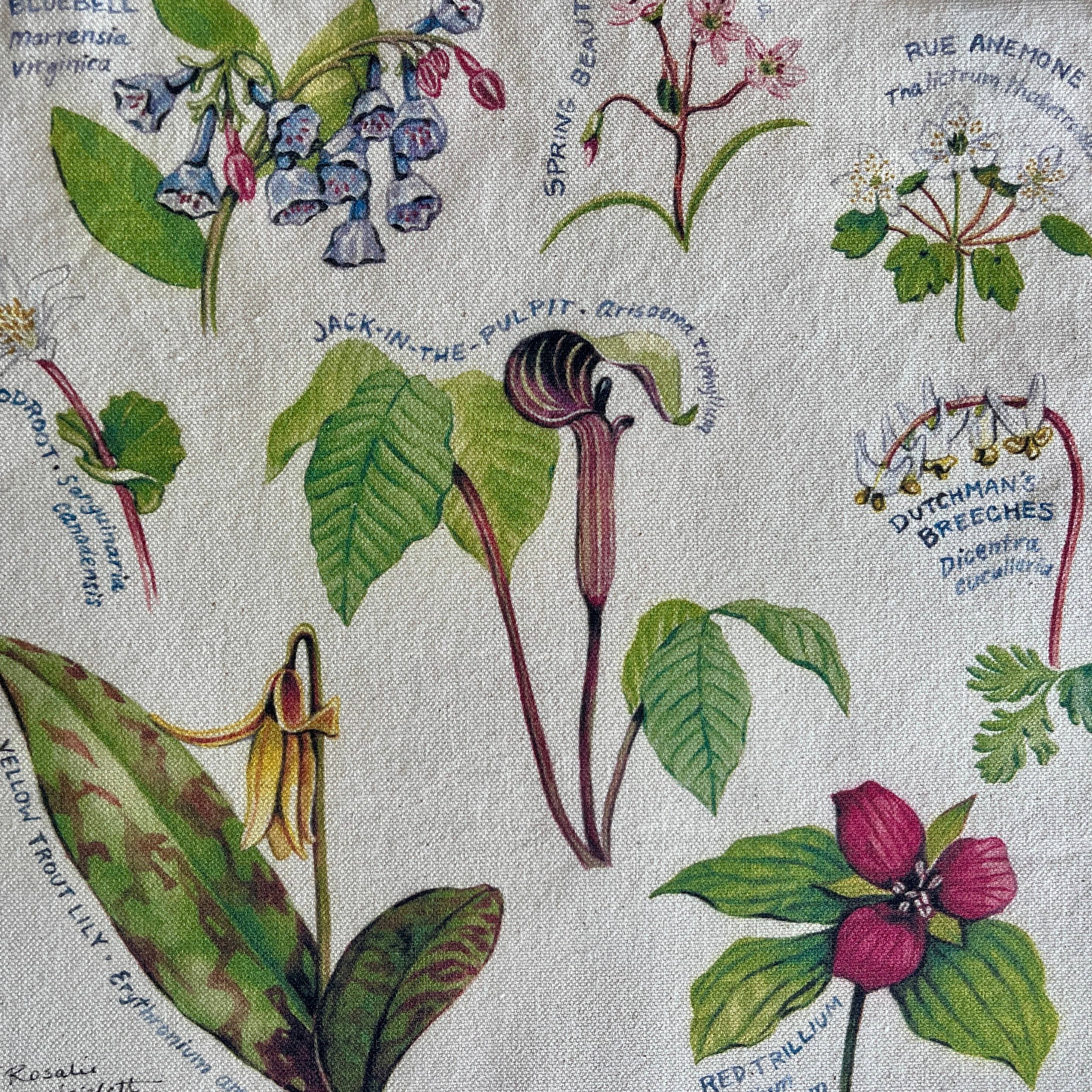 Rosalie Haizlett Illustration - Wholesale Tote Bag - Unisex - Appalachian Wildflowers Market Tote2