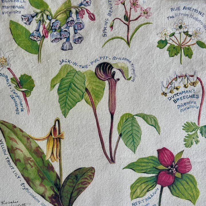 Rosalie Haizlett Illustration - Wholesale Tote Bag - Unisex - Appalachian Wildflowers Market Tote2