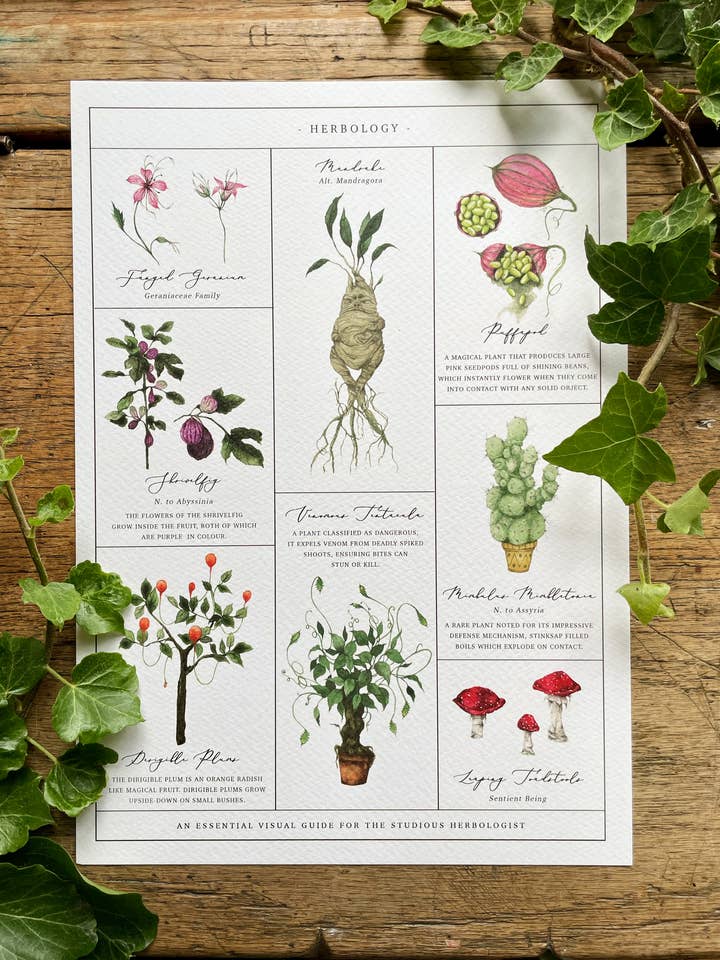 Herbology Chart Magical Botanical Art Print for wholesale by Georgiou Draws