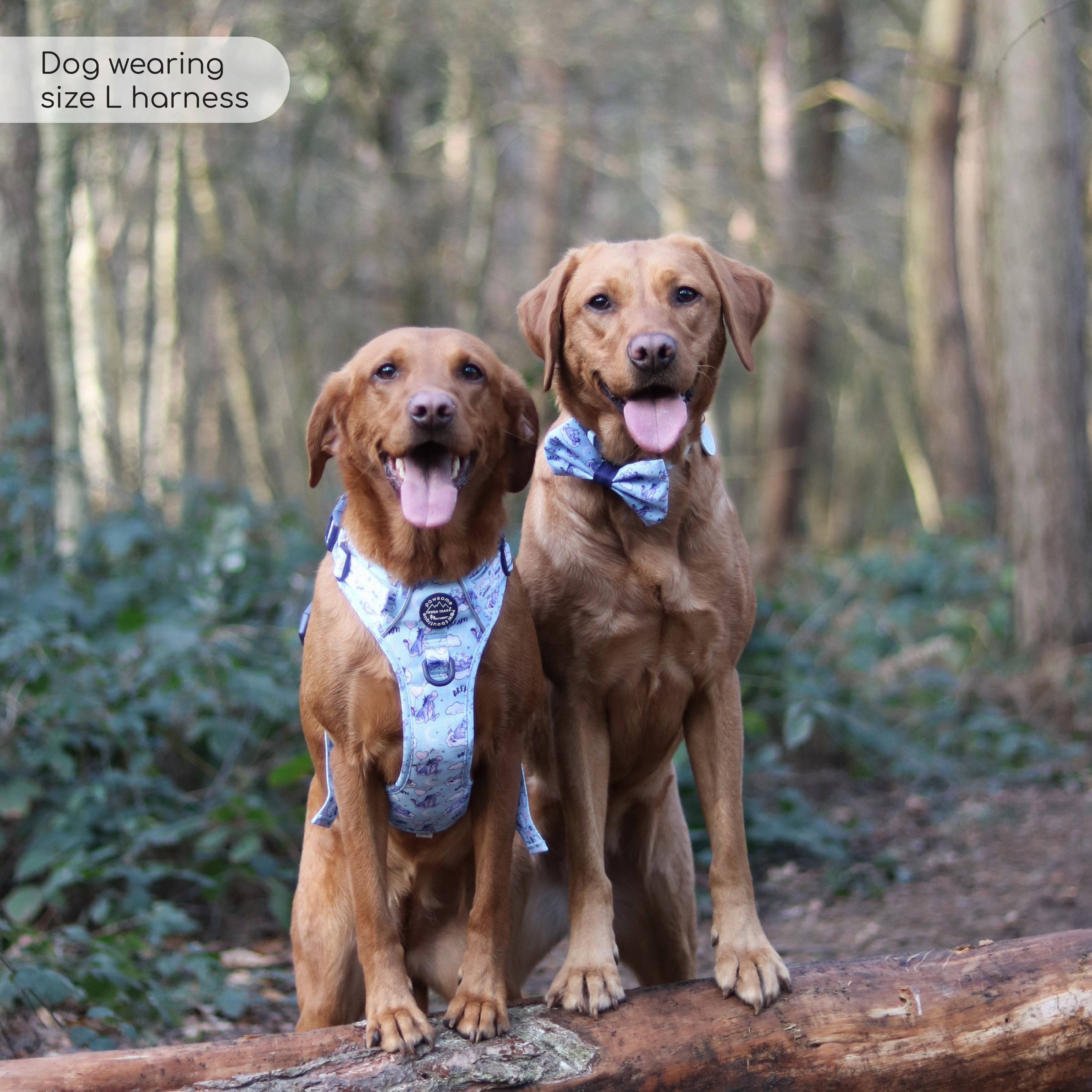 Pawsome Paws - Vendita all'ingrosso Pettorina - Cani - Disney© Tough Trails™ Pettorina - Ih-Oh30