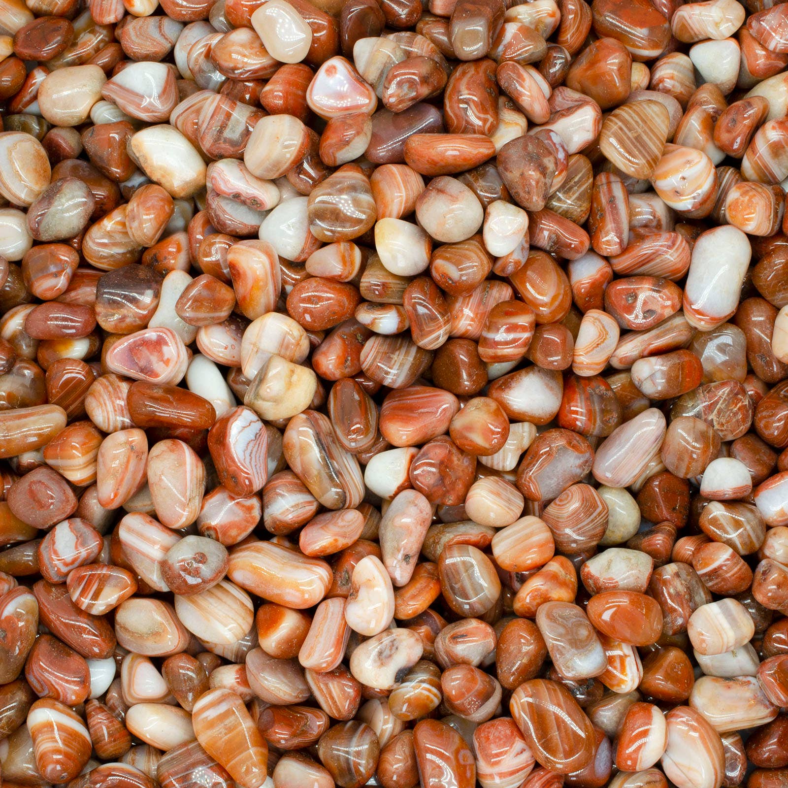 Fantasia Mining - Wholesale Spiritual Stone/Crystal - Tumbled Sardonyx Agate - 0.5" to 0.75" - Size 5 (1lb)1