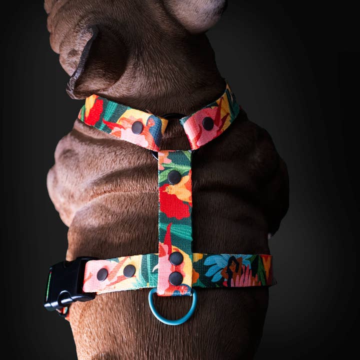 Mind the Fluff – wholesale Pet harness – Dog – Loud and Proud DOG HARNESS