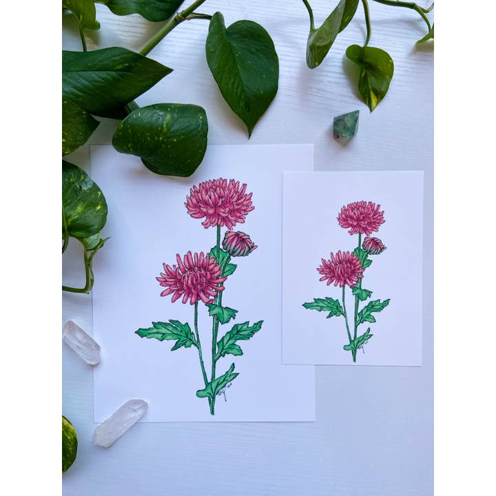 Archival Botanical Art Print - Chrysanthemum Flower for wholesale by AEJ.CREATE